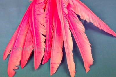Декоративный Пучок из перьев, перо 25см/розовый - купить в Комсомольске-на-Амуре. Цена: 14.40 руб.