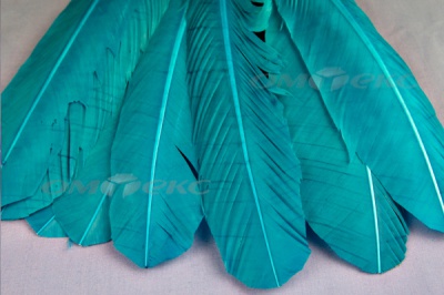 Декоративный Пучок из перьев, перо 24см/голубой - купить в Комсомольске-на-Амуре. Цена: 12.19 руб.