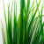 Трава искусственная -2, шт (осока 41см/8 см)				 - купить в Комсомольске-на-Амуре. Цена: 104.57 руб.