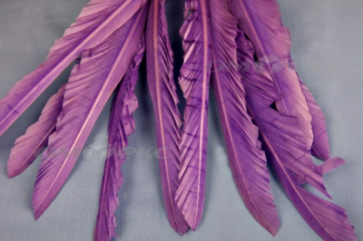 Декоративный Пучок из перьев, перо 25см/фиолетовый - купить в Комсомольске-на-Амуре. Цена: 12.19 руб.