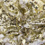 Трикотажное полотно, Сетка с пайетками, шир.130 см, #315, цв.-белый/золото - купить в Комсомольске-на-Амуре. Цена 693.39 руб.