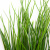 Трава искусственная -4, шт  (осока 50 см/8 см  7 листов)				 - купить в Комсомольске-на-Амуре. Цена: 130.73 руб.