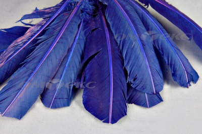 Декоративный Пучок из перьев, перо 23см/синий - купить в Комсомольске-на-Амуре. Цена: 12.34 руб.
