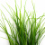 Трава искусственная -3, шт (осока 50 см/8 см  5 листов)				 - купить в Комсомольске-на-Амуре. Цена: 124.17 руб.