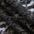 Кружевное полотно XD LACE 1-4, 80 гр/м2, шир.150см, цвет чёрный - купить в Комсомольске-на-Амуре. Цена 245.94 руб.